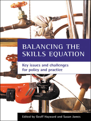 cover image of Balancing the skills equation